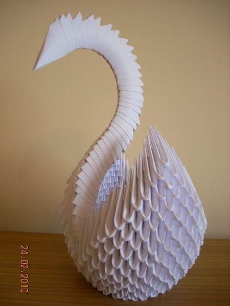 ŁABĘDŹ origami, Ostrowiec Św, Kielce, Sanok , świętokrzyskie