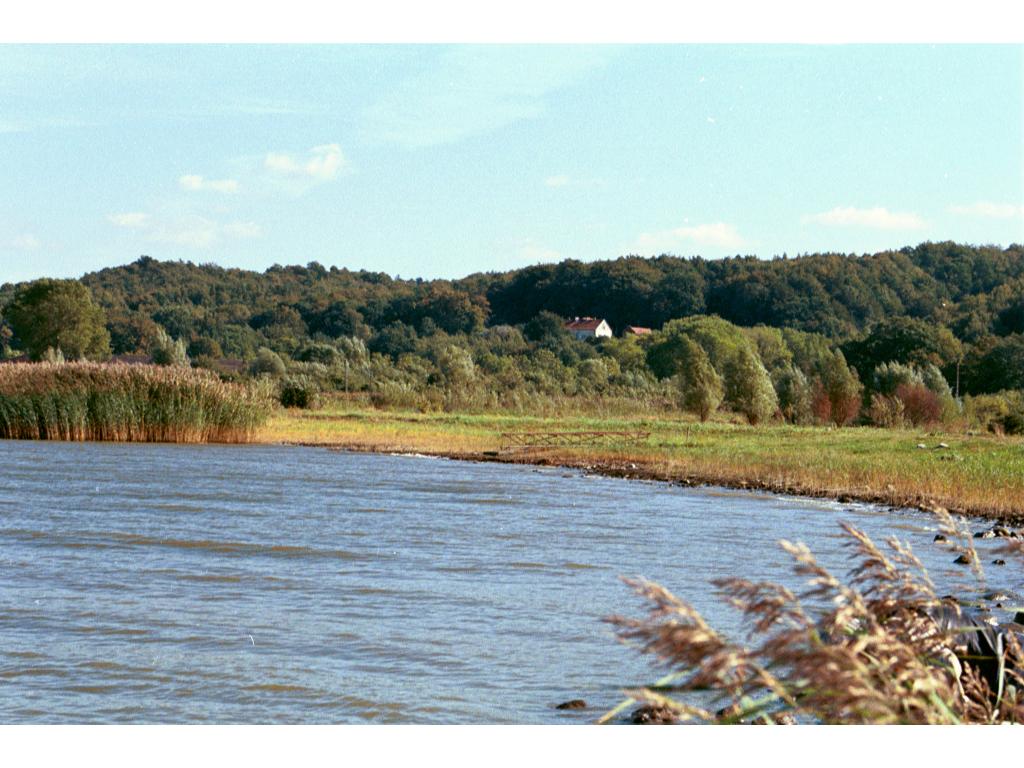 Sprzedam działkę z plażą nad Zalewem Wiślanym, Suchacz