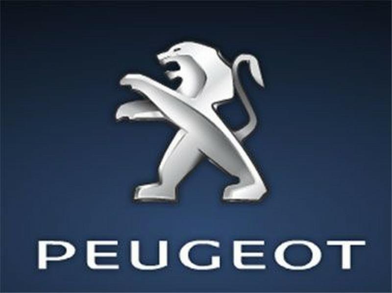 Naprawa Licznik Peugeot 206 406 Berlingo c5, Wołomin, mazowieckie