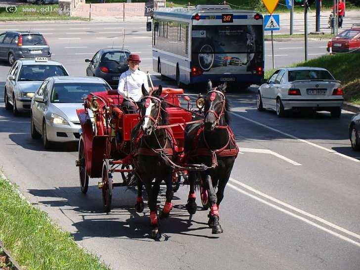 na ukicach Krakowa dorożka nr 13