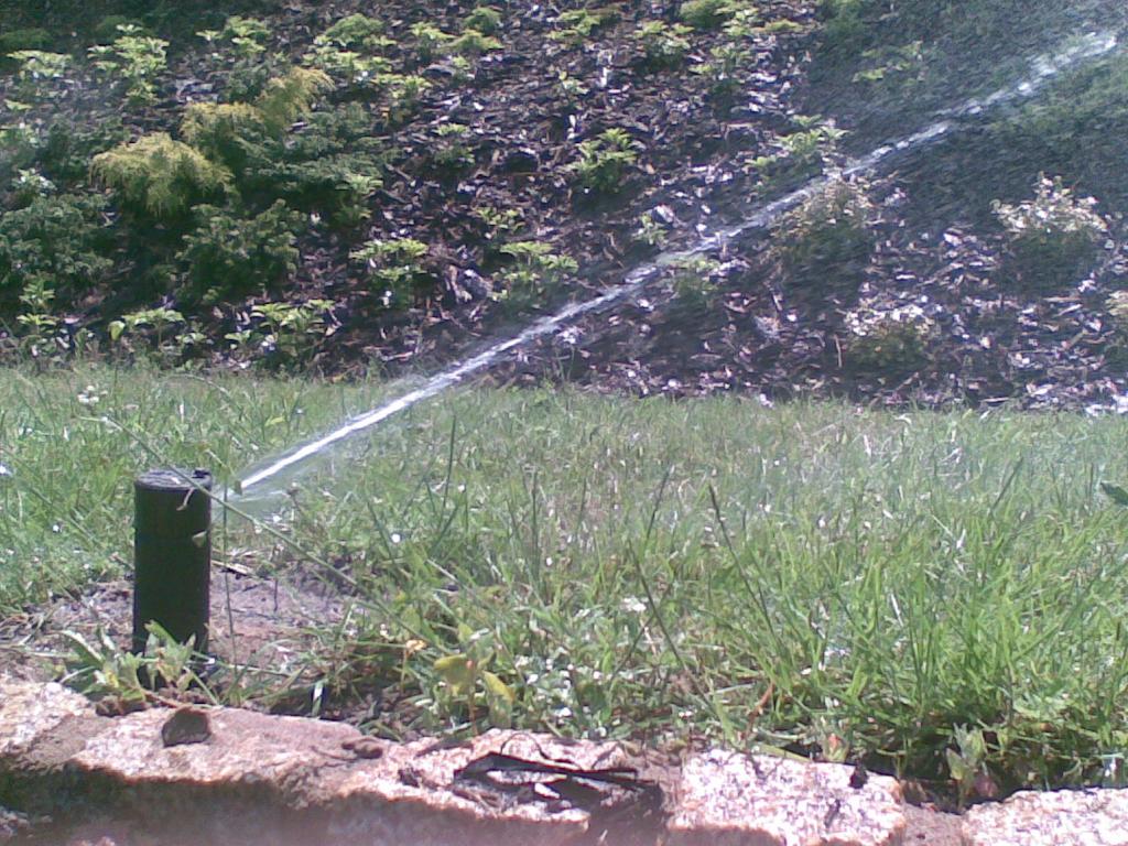 Nawadnianie ogrody oczka wodne Zielona Góra , lubuskie