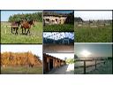 Rancho Fiesta- ośrodek jeździecki; Czestochowa, Kłobuck, śląskie