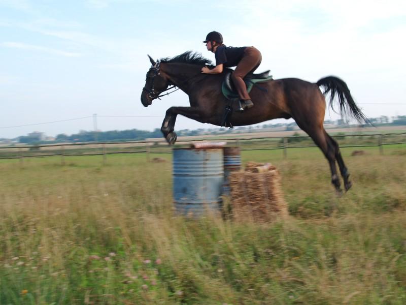 Rancho Fiesta- ośrodek jeździecki; Czestochowa, Kłobuck, śląskie