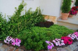 Oczko wodne, kaskada - Garden Beauty, małopolskie