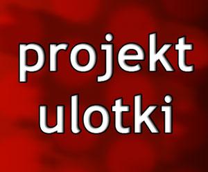 projekt ulotki