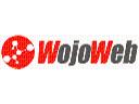 Firma WOJOWEB zaprojektuje stronę dla TWEJ Firmy!