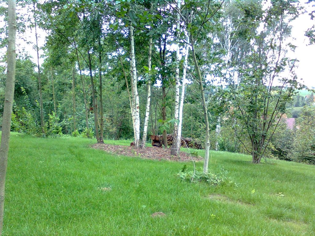 NIWELACJA TERENU,PRZYGOTOWYWANIE POD ZABUDOWE, LUBLIN, lubelskie