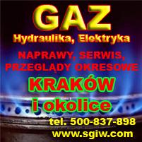 Naprawa-SERWIS piecyków gazowych Kraków, małopolskie