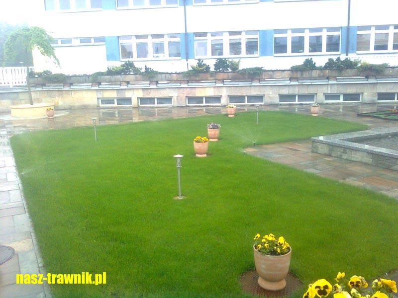 Automatyczny system nawadniania Kraków i okolice, KRAKOW OKOLICE, małopolskie