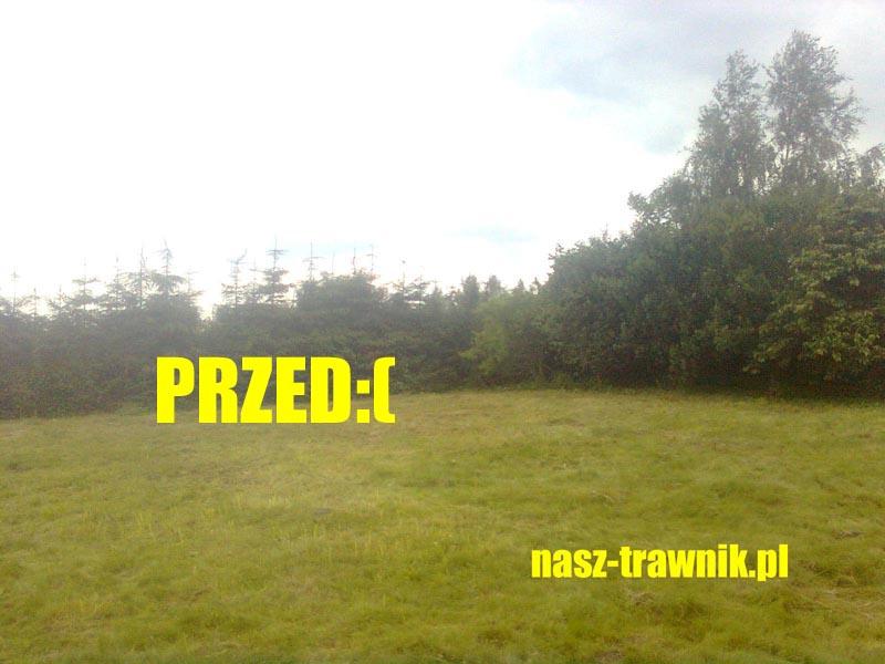 Pielęgnacja trawnika, wertykulacja, aeracja, KRAKOW OKOLICE, małopolskie