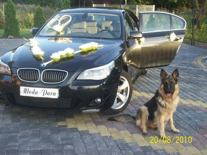 Samochód do ślubu BMW, Bydgoszcz, kujawsko-pomorskie