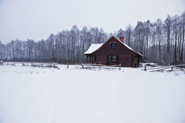 Drewniany dom w Dormowie!, Dormowo, wielkopolskie