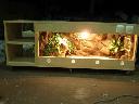Terrarium z szafką dla żółwia greckiego