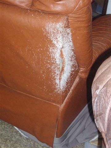  Naprawa , renowacja mebli skórzanych, Wrocław, dolnośląskie