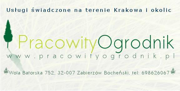 Koszenie traw, wycinka drzew, karczowanie terenu., Bochnia, proszówki, baczków, małopolskie