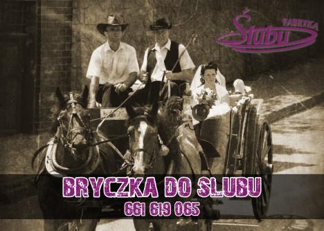 Bryczką do ślubu Podkarpacie