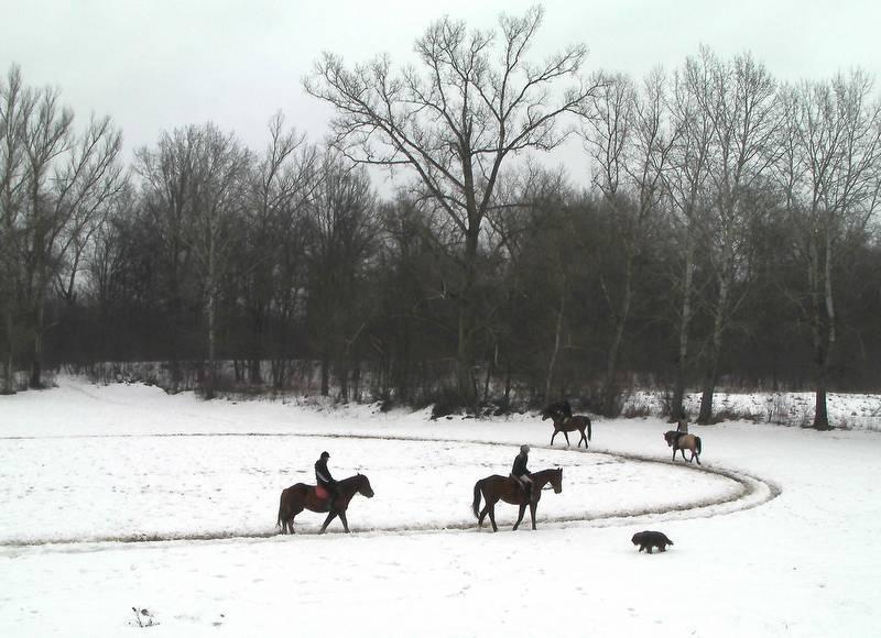 Obóz konny, ferie w siodle , Skierdy, mazowieckie