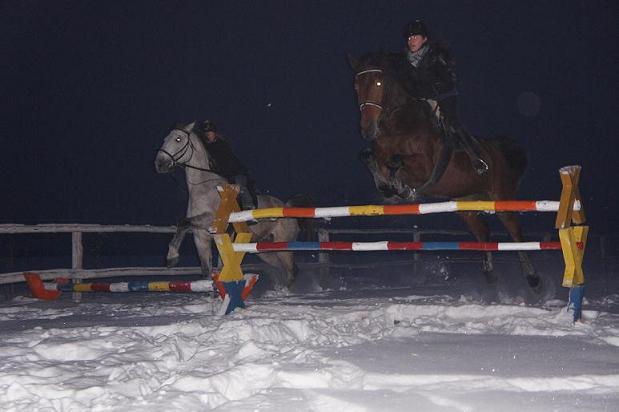 Zimowiska,ferie w siodle,obóz jeździecki,konny,, Popów, łódzkie