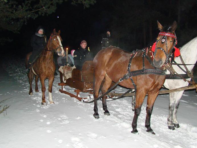 Zimowiska,ferie w siodle,obóz jeździecki,konny,, Popów, łódzkie