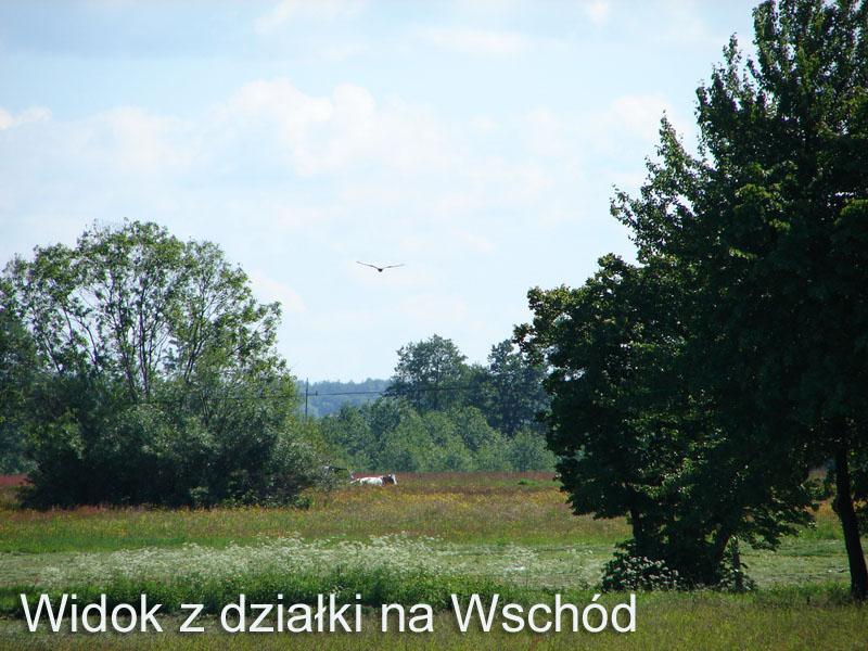 Działki Dla Ciebie, Mińsk Mazowiecki,Jakubów, mazowieckie