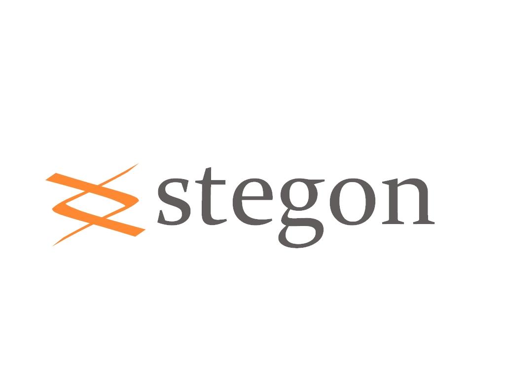 Stegon. Twój marketingowy ekspert