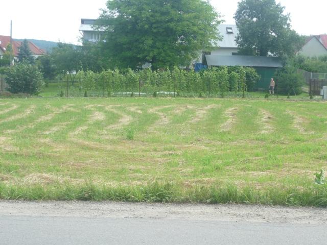 Nowy Sącz - Gołąbkowice - Działka budowlana 8,, małopolskie