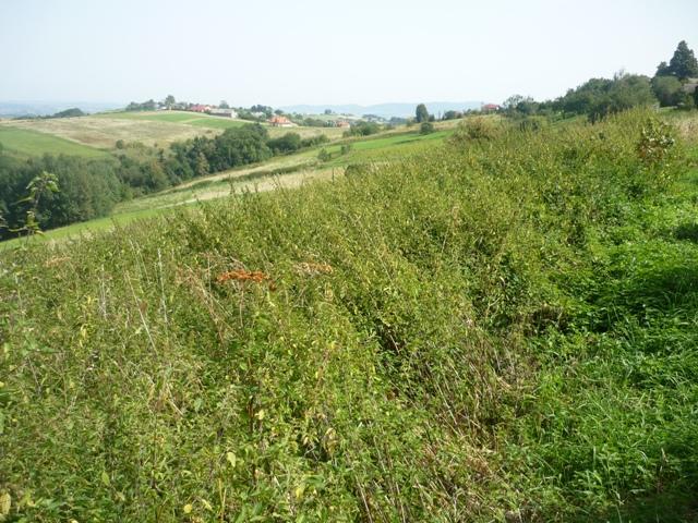 Mogilno k.Nowego Sącza - Działka budowlana 17a, Nowy Sącz, małopolskie