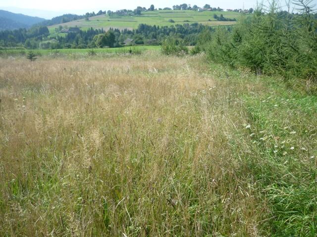 Librantowa - Działka budowlana 26,06a, Nowy Sącz, małopolskie