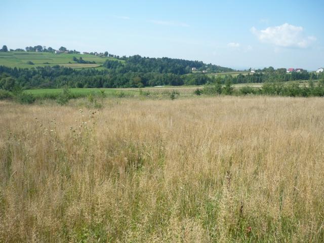 Librantowa - Działka budowlana 26,06a, Nowy Sącz, małopolskie