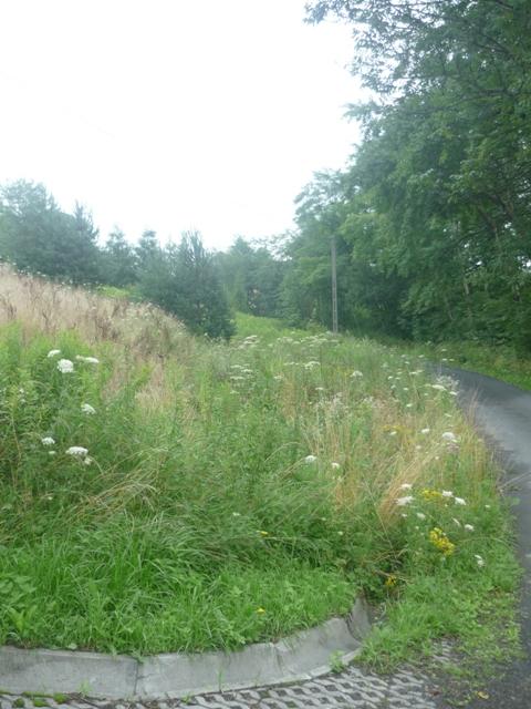 Jamnica - Działka budowlana 24a, Nowy Sącz, małopolskie