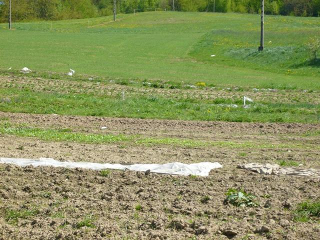 Wielopole k/Nowego Sącza - Działka budowlana 20a, Nowy Sącz, małopolskie