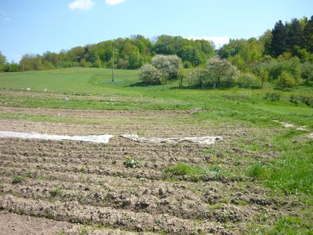 Wielopole k/Nowego Sącza - Działka budowlana 20a, Nowy Sącz, małopolskie