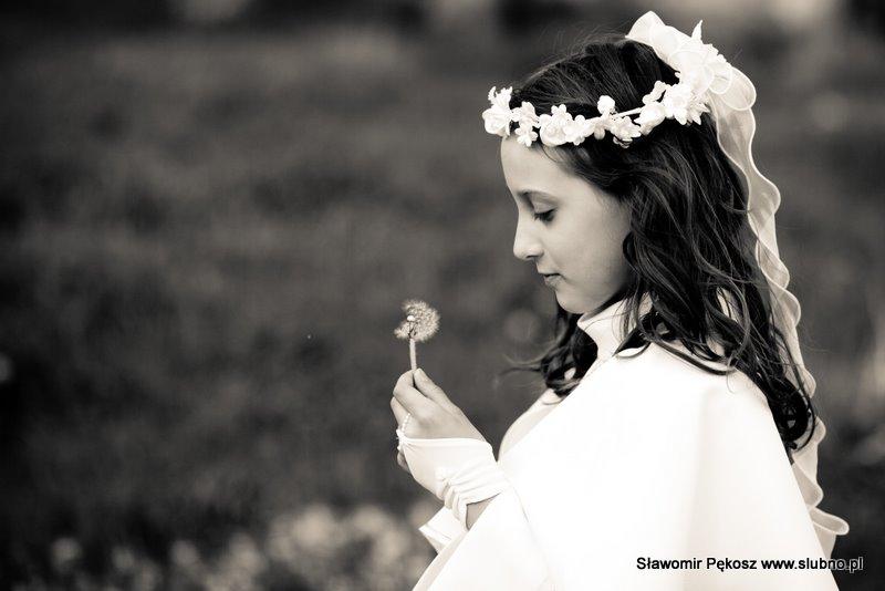 Fotografia ślubna i okolicznościowa, Szamotuły, Poznań, Rokietnica, wielkopolskie