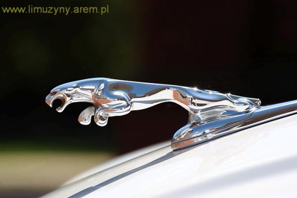 Fotografia ślubna + auto do ślubu Jaguar + plener , LOKALIZACJA  - Strzelce Opolskie, śląskie