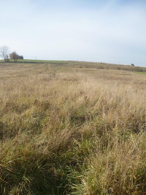 Nowy Sącz - Poręba Mała - Działka bud. 12,86a, małopolskie