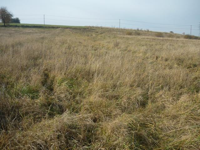 Nowy Sącz - Poręba Mała - działka bud. 12,80a, małopolskie