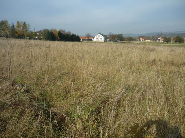 Nowy Sącz - Poręba Mała - Działka bud. 12,83a, małopolskie