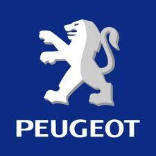 Regeneracja naprawa belki peugeot citroen renault , Wrocław, dolnośląskie