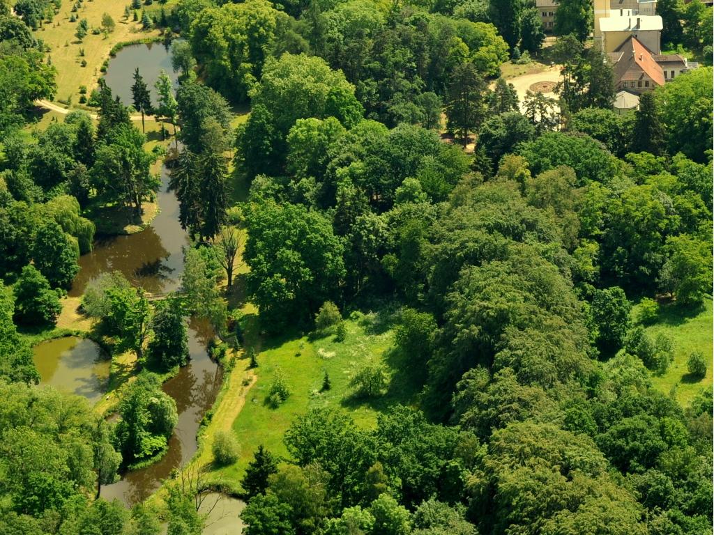 Sylwester piła, pałac, bal sylwestrowy 2011/2012, Jabłonowo, wielkopolskie