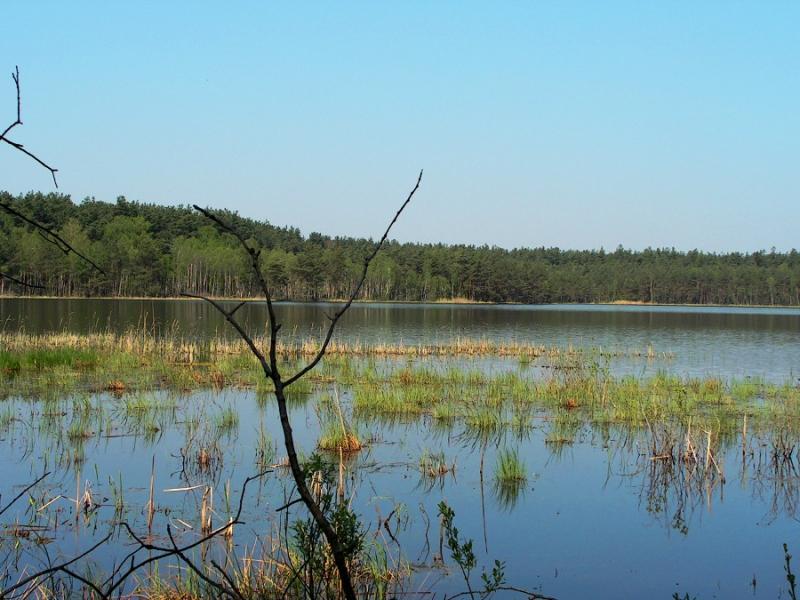 Agroturystyka nad Bugiem, Lubelskie Wola Uhruska, lubelskie