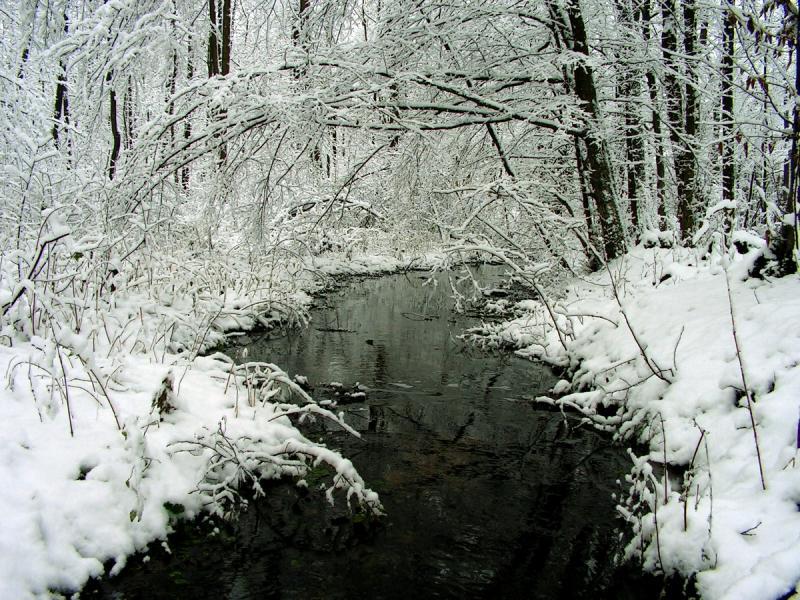 Agroturystyka nad Bugiem, Lubelskie Wola Uhruska, lubelskie