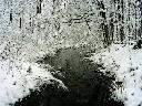Zdjęcie nr 6  Żródła rzeki Tarasienki zimą