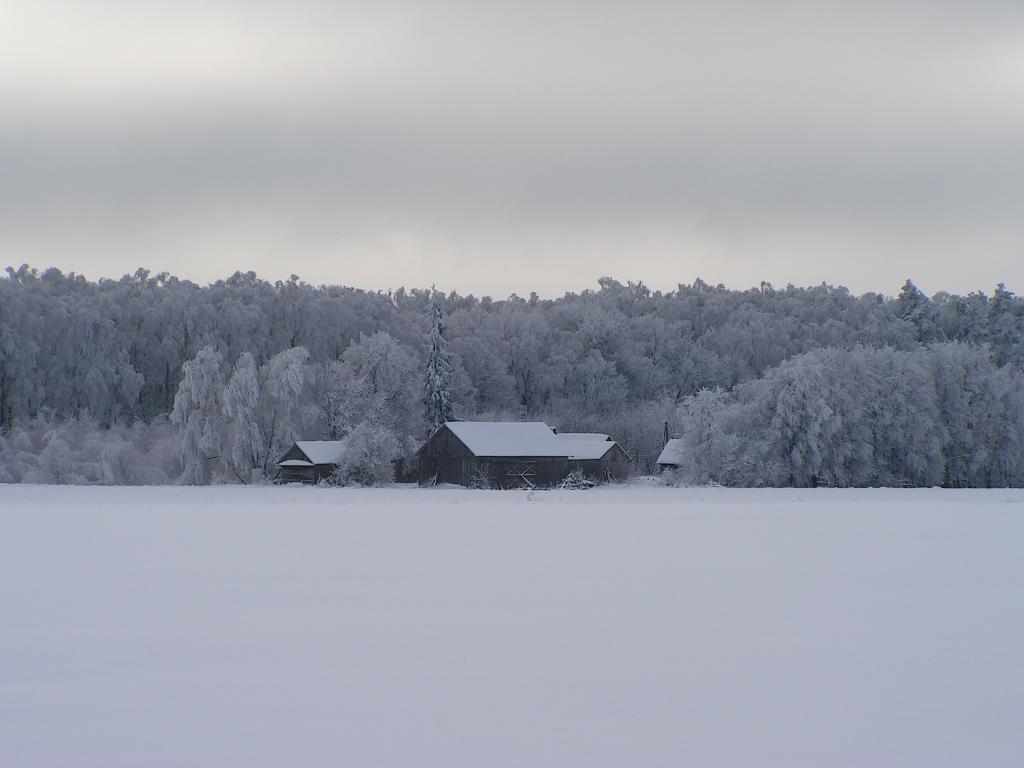 Agroturystyka nad Bugiem, Lubelskie Wola Uhruska, lubelskie