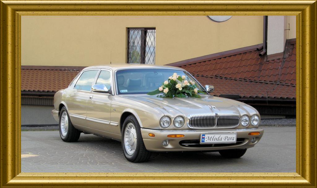 Złoty Jaguar XJ-8 Vanden Plas wersia przedłużona