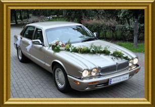 Wynajem Samochodów Ślubnych Jaguar XJ-8  , Lubicz Dolny, kujawsko-pomorskie