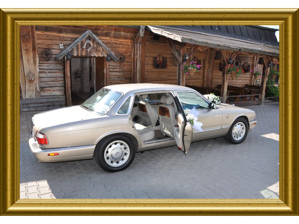 Wynajem Samochodów Ślubnych Jaguar XJ-8  , Lubicz Dolny, kujawsko-pomorskie