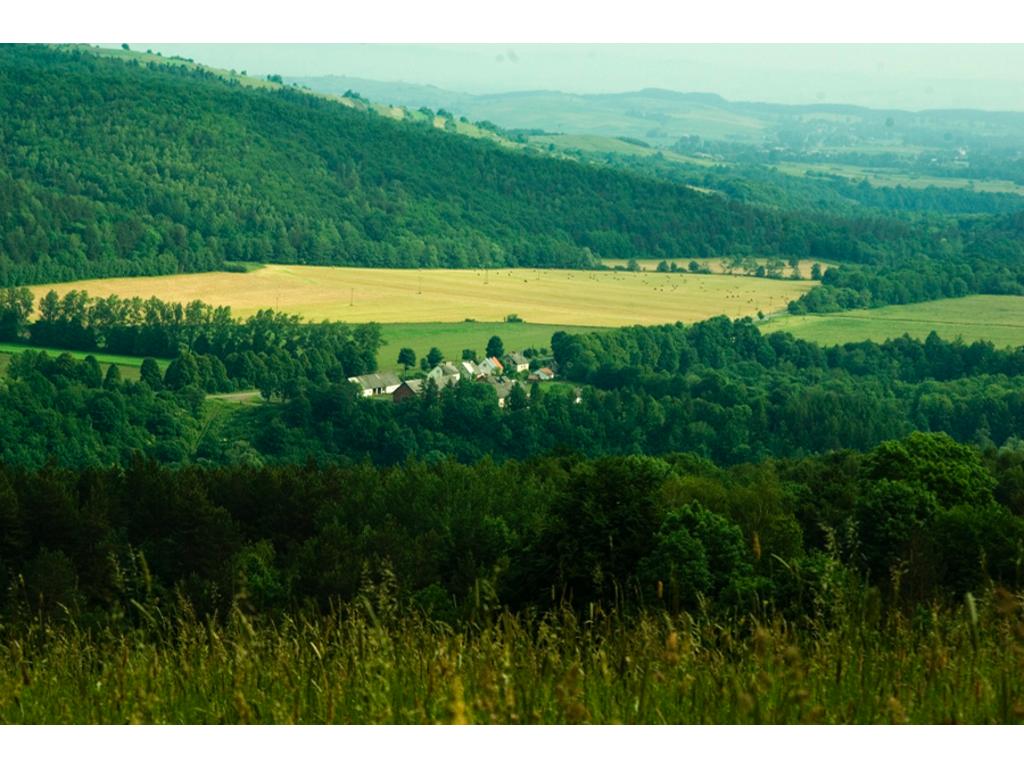 Panorama Rudawki Rymanowskiej