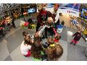 Obsługa konferansjerska, gry i zabawy dla dzieci, wsparcie sprzedaży - Stena Line 2009