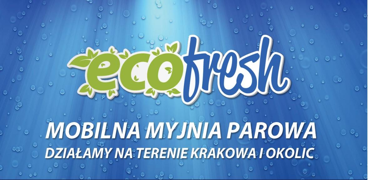 Mobilna myjnia parowa, pranie tapicerki , dywanów, Kraków, małopolskie