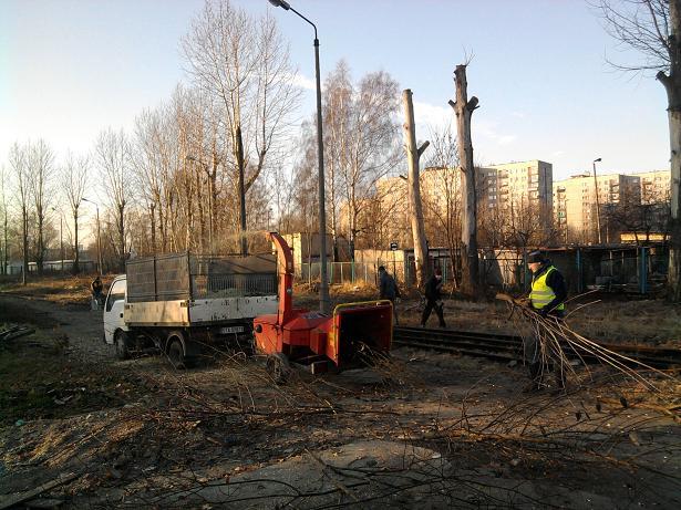 Wycinka drzew  pielegnacja drzew PIEKARY ŚLĄSKIE, Radzionków, śląskie